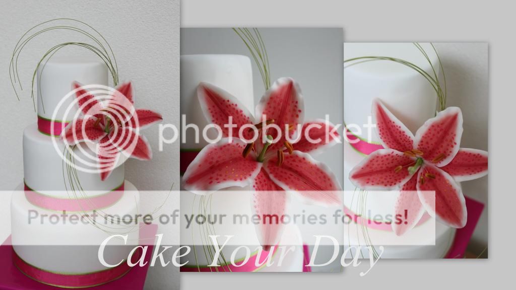 http://i859.photobucket.com/albums/ab151/CakeYourDay/BruidstaartRozesuikerlelie_zps4bd9d8a0.jpg