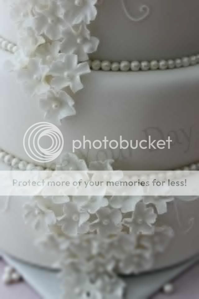 http://i859.photobucket.com/albums/ab151/CakeYourDay/Closeupbruidstaart_zps5d4e2ebd.jpg