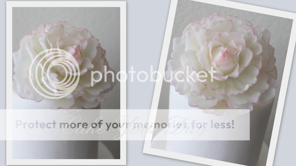 http://i859.photobucket.com/albums/ab151/CakeYourDay/Facebook/Suiker%20bloemen%20Sugar%20Flowers/Pioenroosdicht_zpsc7e2f9bf.jpg