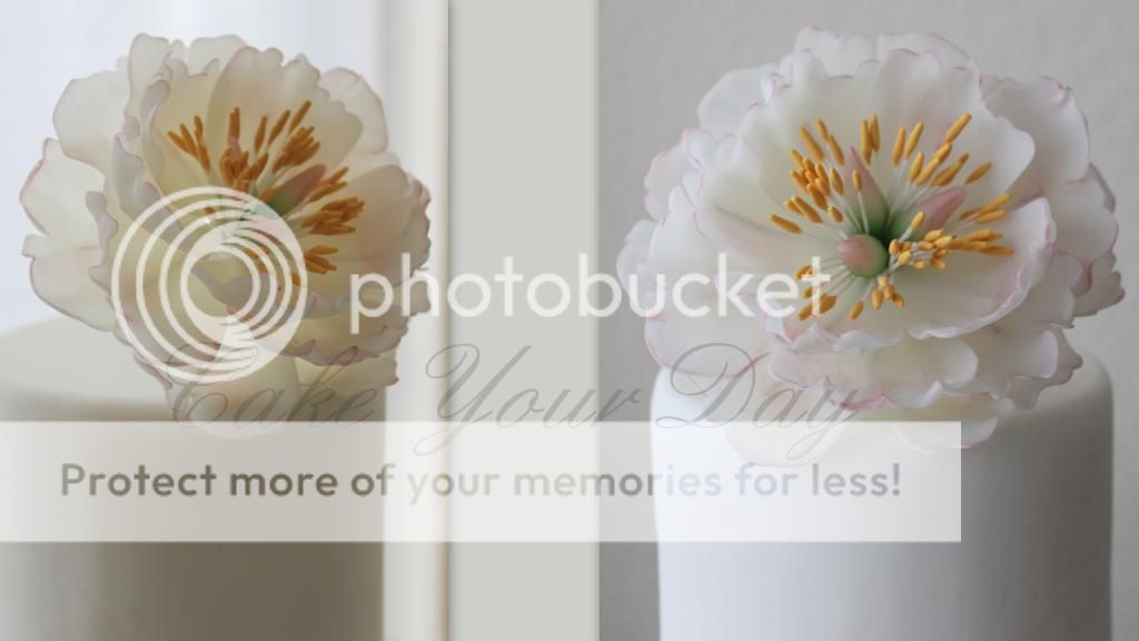 http://i859.photobucket.com/albums/ab151/CakeYourDay/Facebook/Suiker%20bloemen%20Sugar%20Flowers/Pioenroosopen_zps3c197eef.jpg