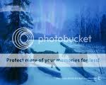 wolves Pictures, Images and Photos