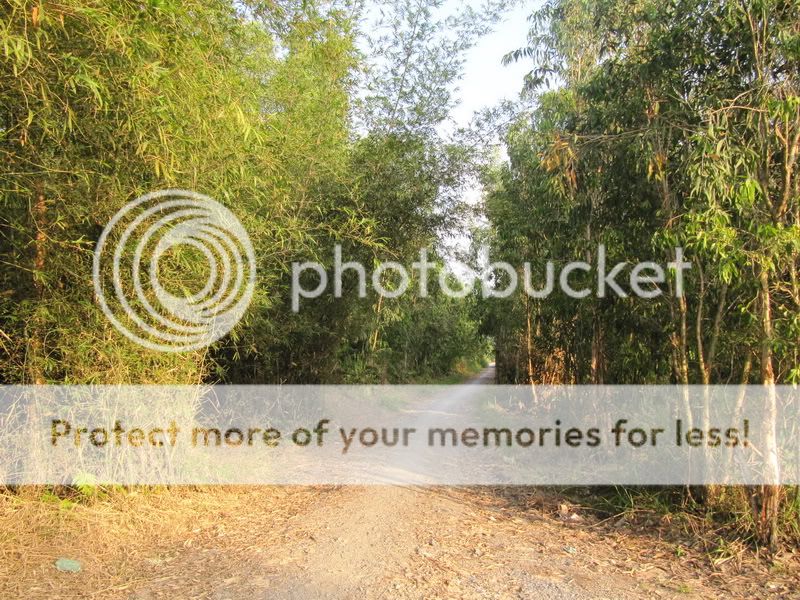 Ngôi nhà lá mang đậm nét từ bi của phật pháp đang cần nhiều đôi tay của mọi người - 7