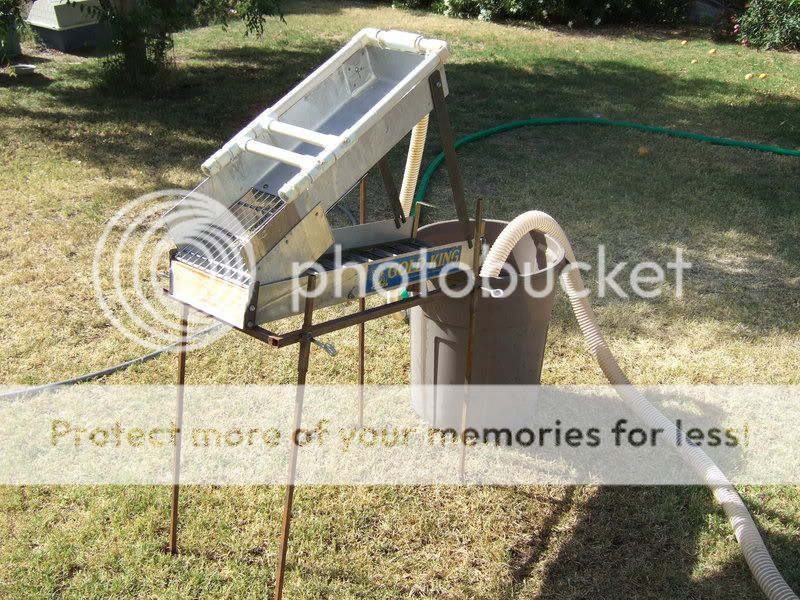 Posted Image