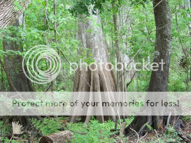 100_2495.jpg