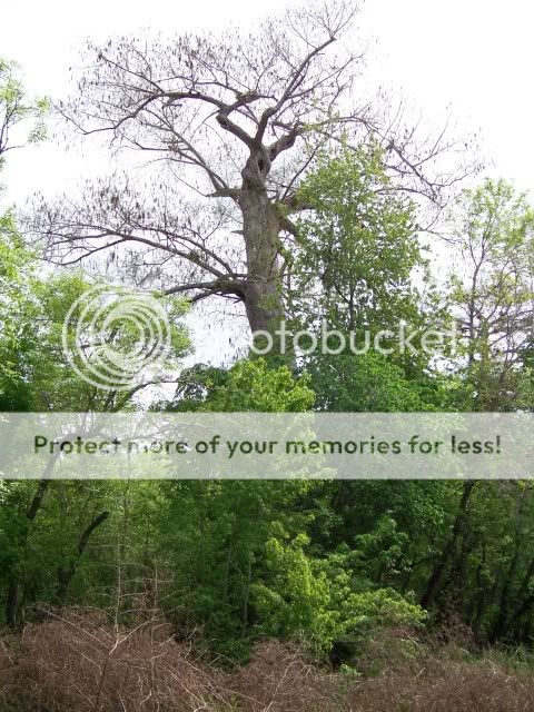 100_2499.jpg