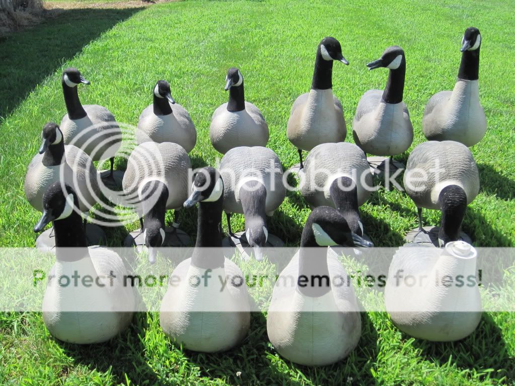 Full Body Goose Decoys Big Foot, GHG, FA, & Higdon Iowa Water