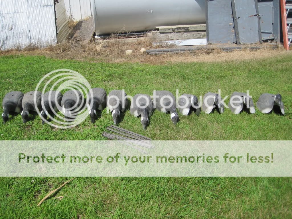 Full Body Goose Decoys Big Foot, GHG, FA, & Higdon Iowa Water