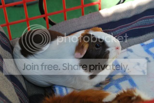 DSC_7194.jpg